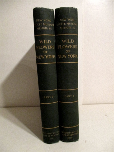 Wild Flowers of New York.